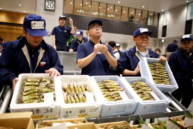 Neuer Fischmarkt von Tokio ist eröffnet
