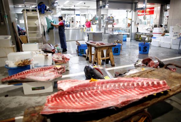 Neuer Fischmarkt von Tokio ist eröffnet