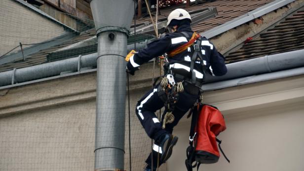 Uhu in Not von der Feuerwehr gerettet