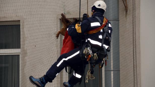 Uhu in Not von der Feuerwehr gerettet