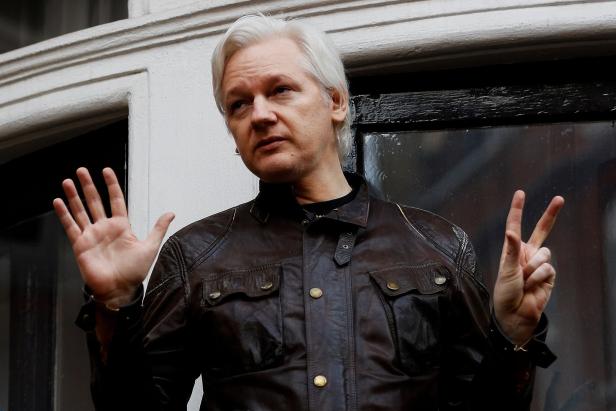 "Katze pflegen, Bad putzen": Botschaft erteilt Assange Abmahnung