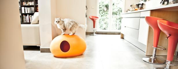 Tierisch gemütlich: Wohndesign für Vierbeiner