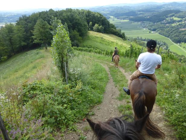 Steiermark: Die neuen Hideaways an der Weinstraße