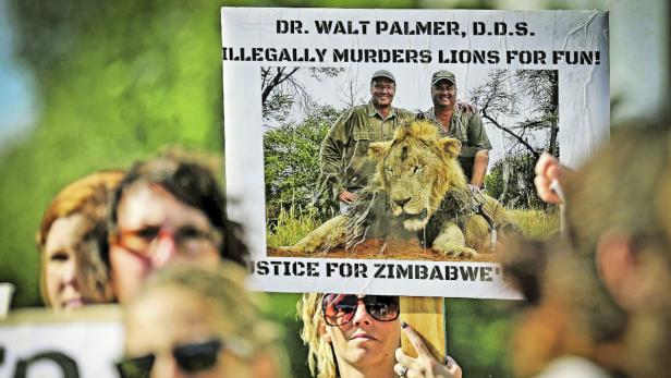 Simbabwe: Deutscher erschoss berühmten Elefanten