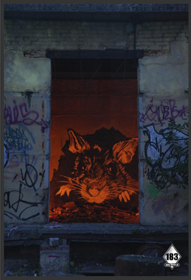 Eine orangefarbene Ratte ist auf eine Wand in einem verlassenen Gebäude gemalt.