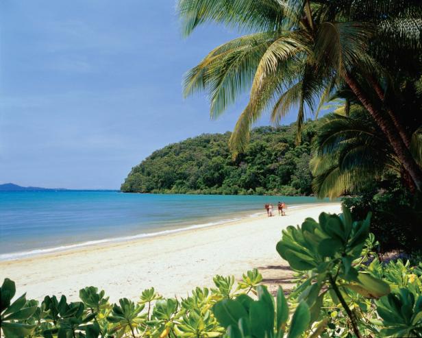 Ein tropischer Strand mit Palmen und einigen Personen im Hintergrund.