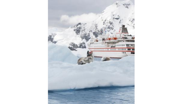 Antarktis-Kreuzfahrt: Mit Frack und Fell