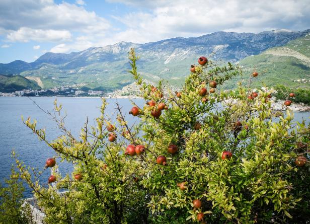 Montenegro in Bildern