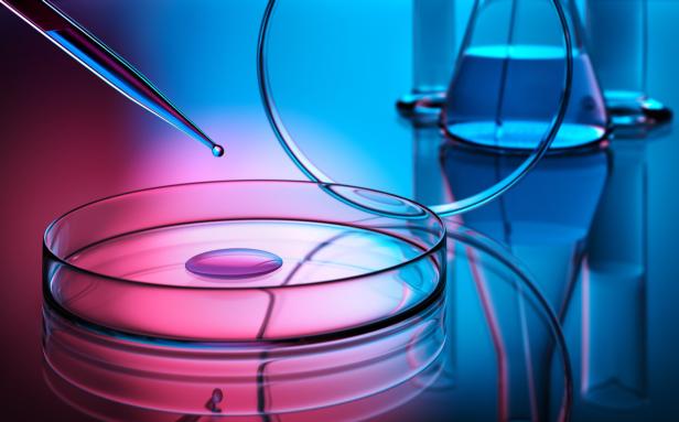 Eine Pipette gibt eine Flüssigkeit in eine Petrischale ab.