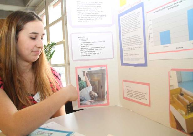 Science Fair 2013 Wissenschaft spielen – aus Spiel Wissenschaft machen