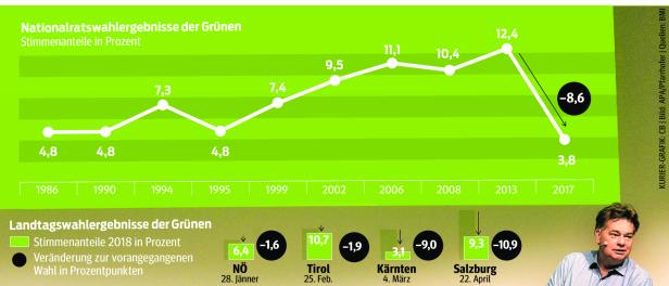 Deutsche als Vorbild: Grüne "bürgerlich angepasst"