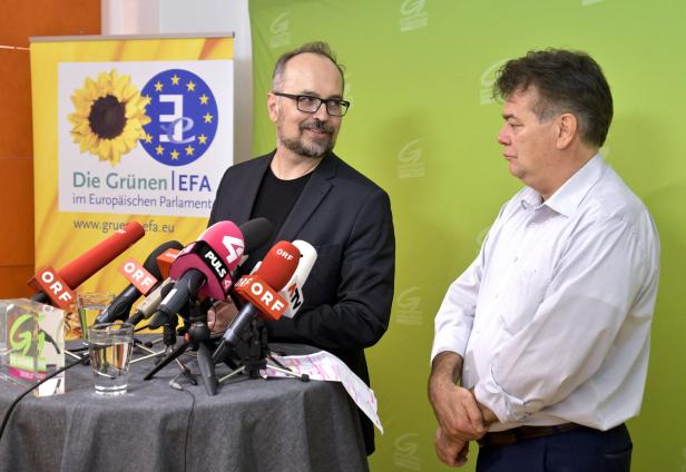 Werner Kogler will für die Grünen in den EU-Wahlkampf ziehen