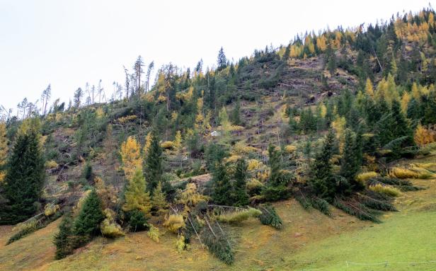 Tirol: Unwetter zerstörte 1.300 Hektar Wald