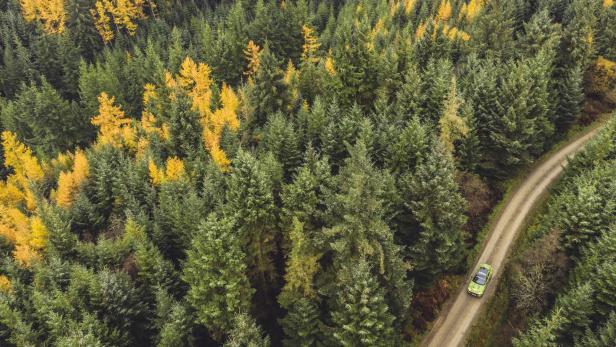 Ein grünes Auto fährt auf einer Schotterstraße durch einen herbstlichen Wald.