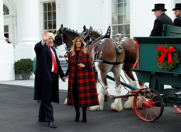 Unbeholfen: Trump berührt ein Pferd und amüsiert das Netz