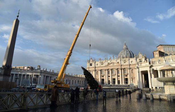 Weihnachtsbaum aus Unwettergebieten im Vatikan eingetroffen