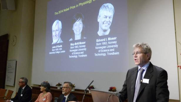 Medizin-Nobelpreis 2014 geht an Hirnforscher