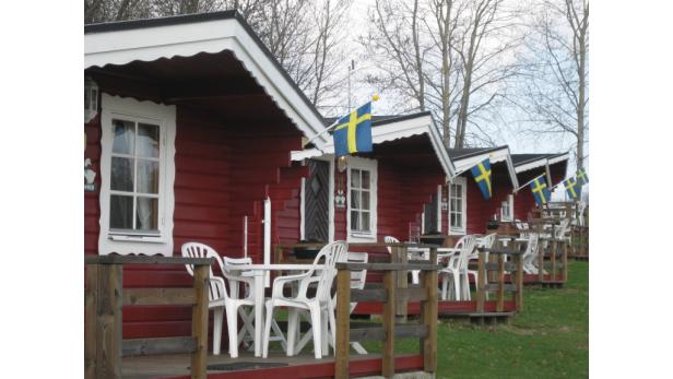 Südschweden: Fast freie Wildbahn