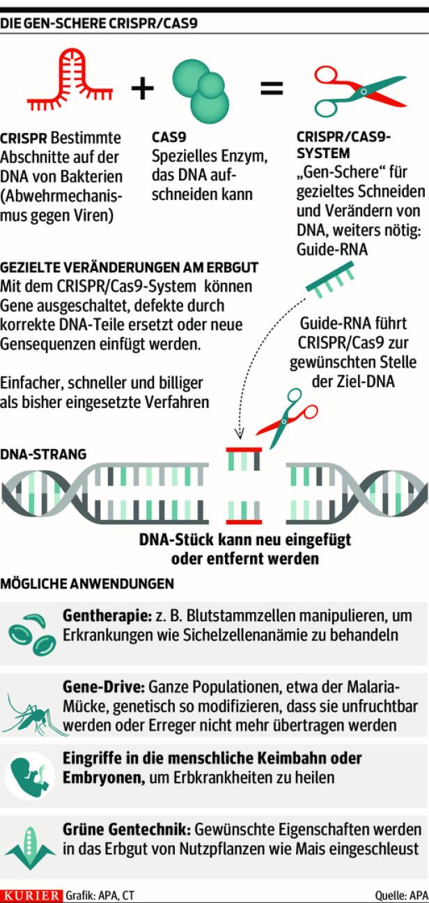 Meilenstein der Medizin: CRISPR-Gen-Schere heilt erstmals Patientin