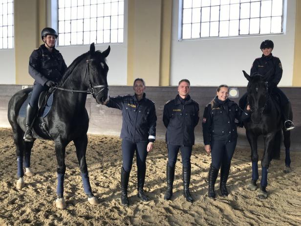 Berittene Polizei: Orbáns Pferde haben Dienst angetreten