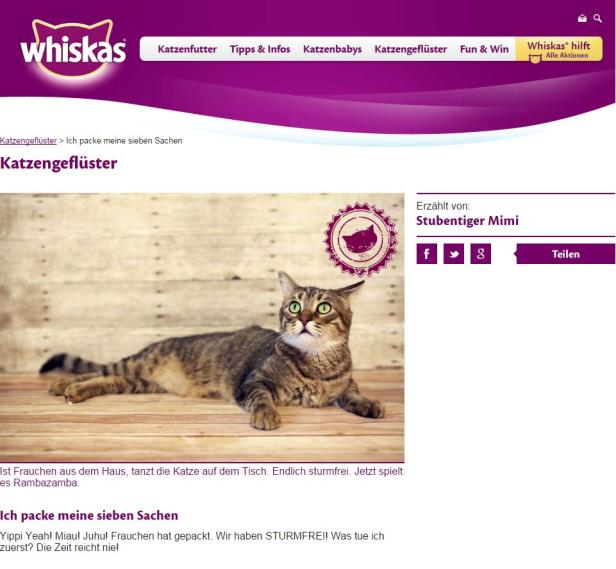 Eine getigerte Katze liegt entspannt auf einem Holzboden und schaut nach oben.