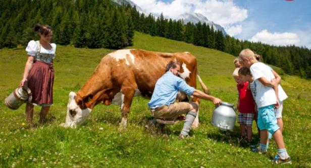 Auf einer Alm melkt ein Mann eine Kuh, während Kinder zusehen und eine Frau mit Milchkannen steht dabei.