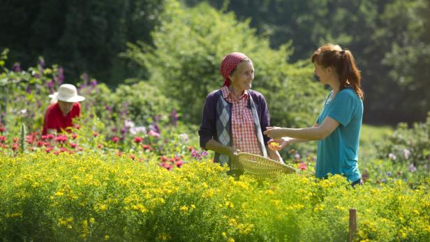 Zwei Frauen unterhalten sich in einem Garten voller gelber und roter Blumen.