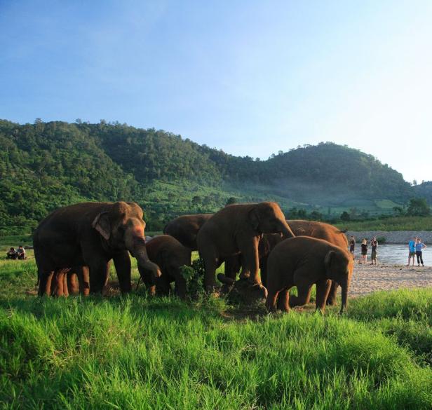 Das sind die Naturwunder und kulturellen Schätze Thailands