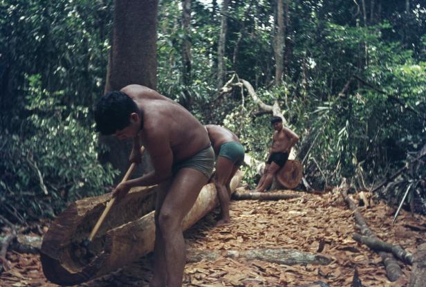 Was den Blutdruck von Ureinwohnern im Regenwald emportreibt