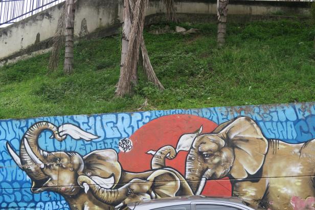 Medellin: Graffiti statt Drogenkrieg