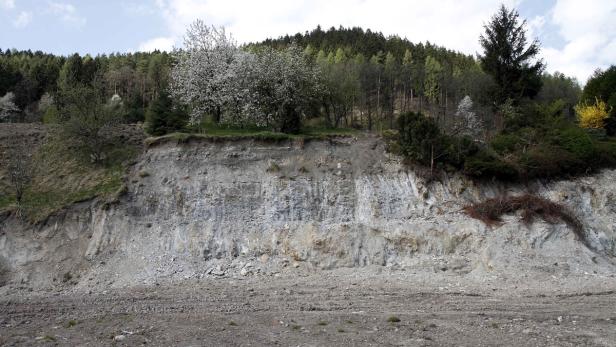Ein Erdwall mit Bäumen und Sträuchern im Hintergrund.