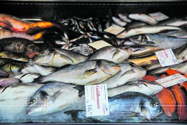 Das Geschäft mit dem Karpfen: Vermehrt Fisch auf dem Tisch