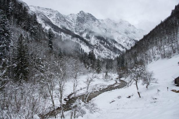 Hirschfütterung in einer wunderbaren Winteridylle