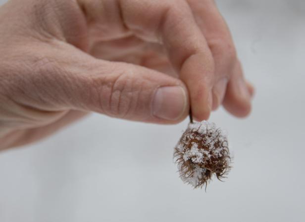 Hirschfütterung in einer wunderbaren Winteridylle