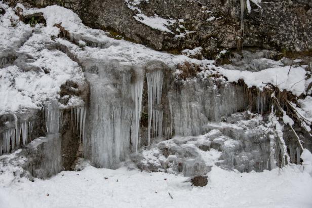 Hirschfütterung in einer wunderbaren Winteridylle