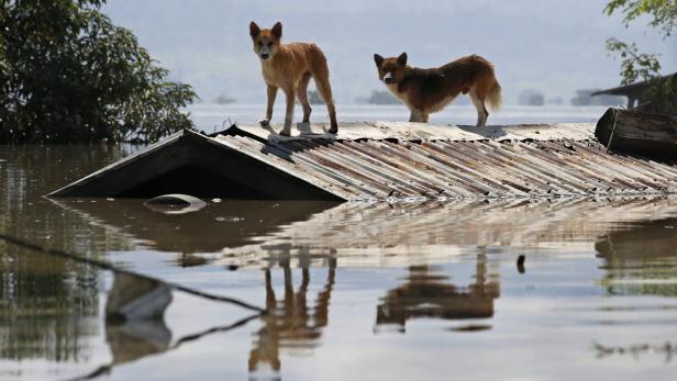Monsun: Millionen Menschen flüchten