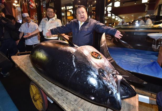 Japanische Sushi-Kette ersteigerte Thunfisch für 2,7 Mio. Euro