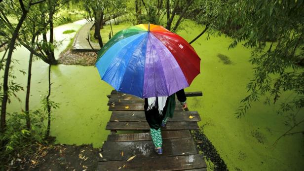 Eine Person mit einem Regenbogen-Regenschirm überquert einen hölzernen Steg über einen grünen Teich.