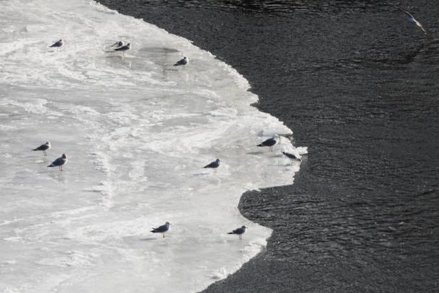 Riesiger Eiskreis in Fluss sorgt in den USA für Aufsehen