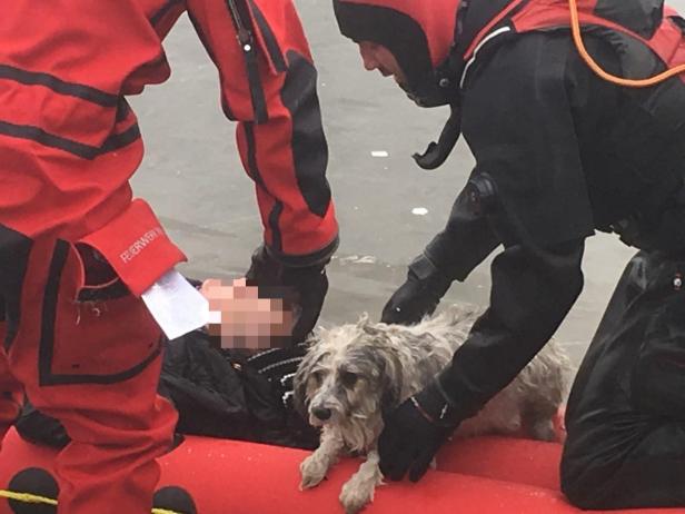 Feuerwehreinsatz: Frau mit Hund im Eis eingebrochen