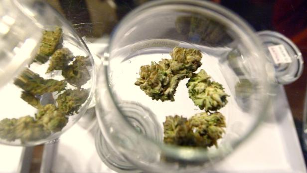 Marihuana-Blüten in zwei Glasbehältern.