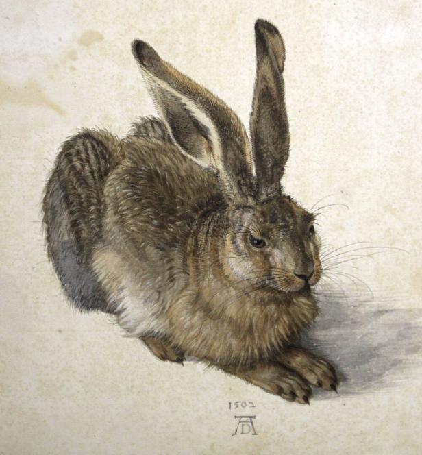 Ein Hase sitzt auf einem hellen Untergrund.