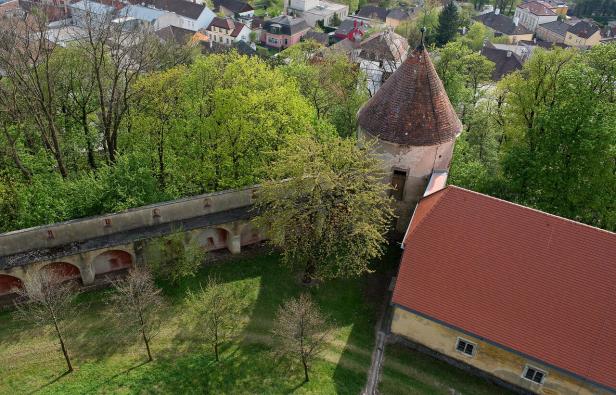 Burg Neulengbach wird wieder belebt