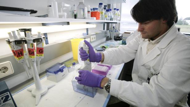 Ein Wissenschaftler in einem Labor arbeitet mit einer Pipette und einer Probenplatte.
