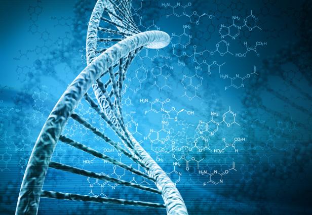 10 Fakten zur DNA: Wussten Sie, dass...