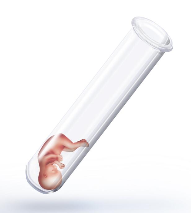 Ein Fötus befindet sich in einem transparenten Reagenzglas.
