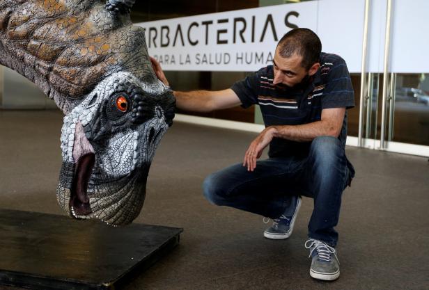 Argentinien: Dinosaurier mit riesigen Stacheln entdeckt