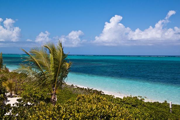 Ein tropischer Strand mit türkisfarbenem Wasser und Palmen unter blauem Himmel.