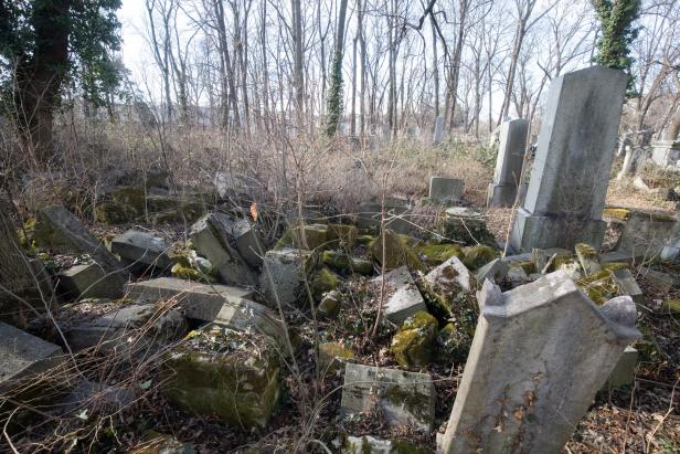 Bundesheer hilft am Jüdischen Friedhof