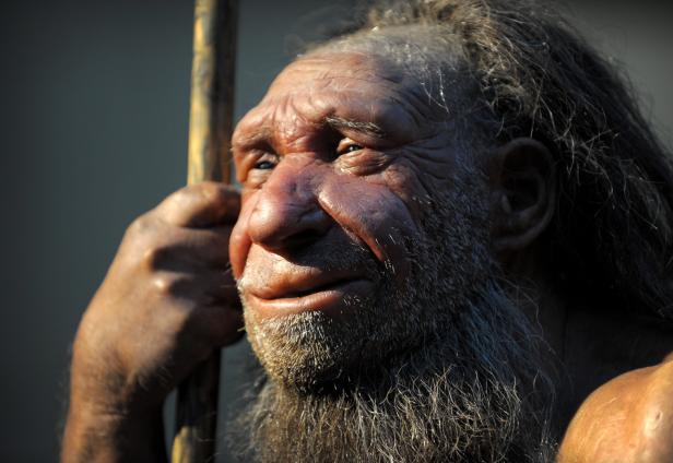 "Superfood" Mammut: Neandertaler und Homo sapiens liebten es